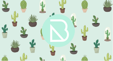 casesbanner-Beeldprikkels-small-1